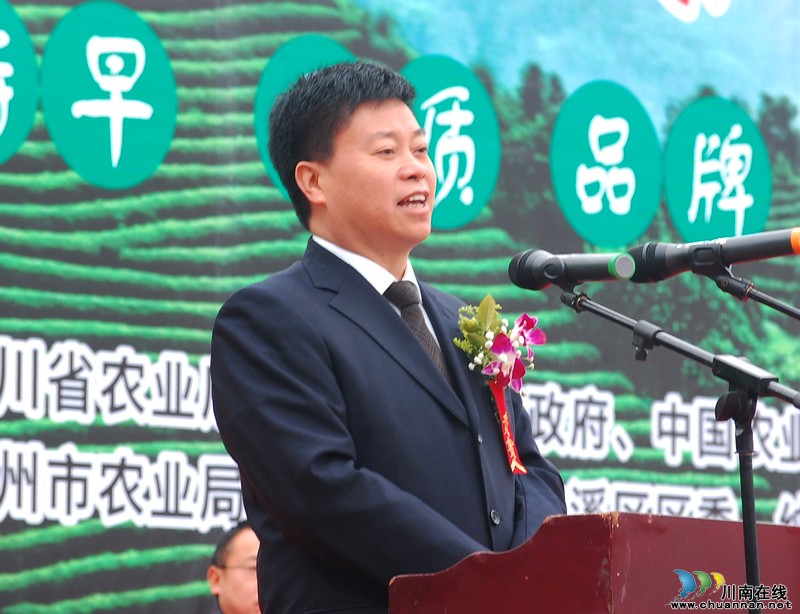 高清大图纳溪·采茶节(图9) 高清大图纳溪·采茶节(图9)