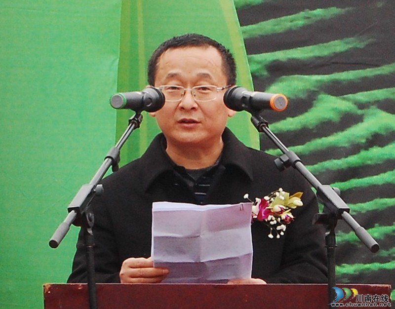 高清大图纳溪·采茶节(图8) 高清大图纳溪·采茶节(图8)