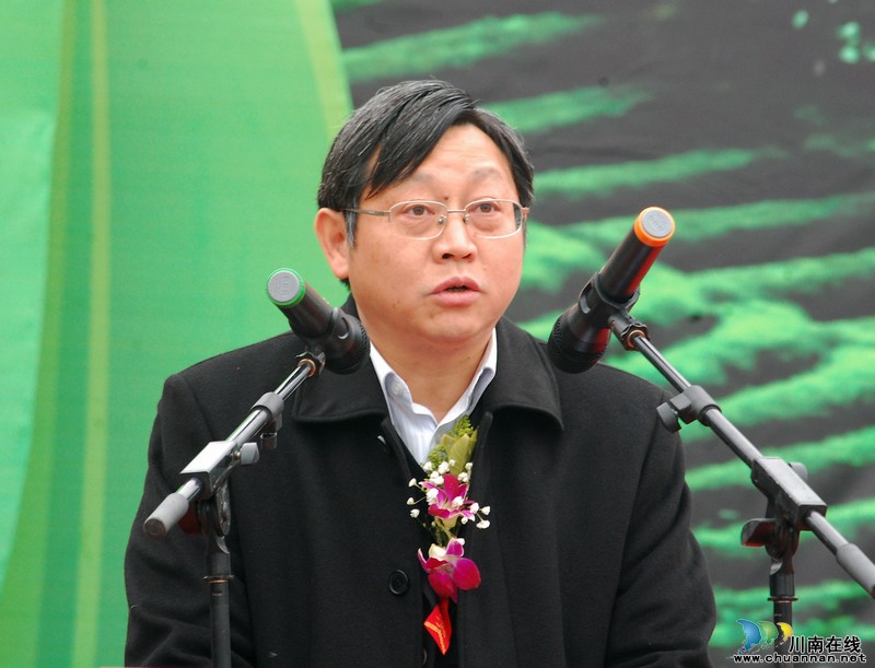 高清大图纳溪·采茶节(图11) 高清大图纳溪·采茶节(图11)