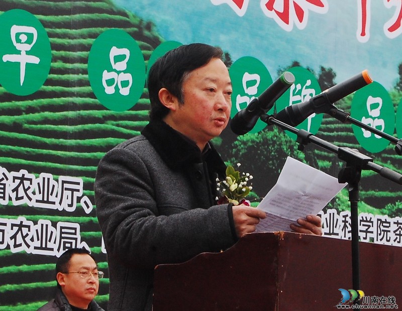 高清大图纳溪·采茶节(图12) 高清大图纳溪·采茶节(图12)