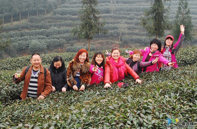 高清大图纳溪·采茶节(图16) 高清大图纳溪·采茶节(图16)