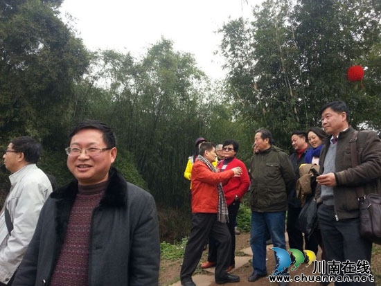 早春二月茶香千里&nbsp;名家齐赞秀美纳溪（图）(图4)
