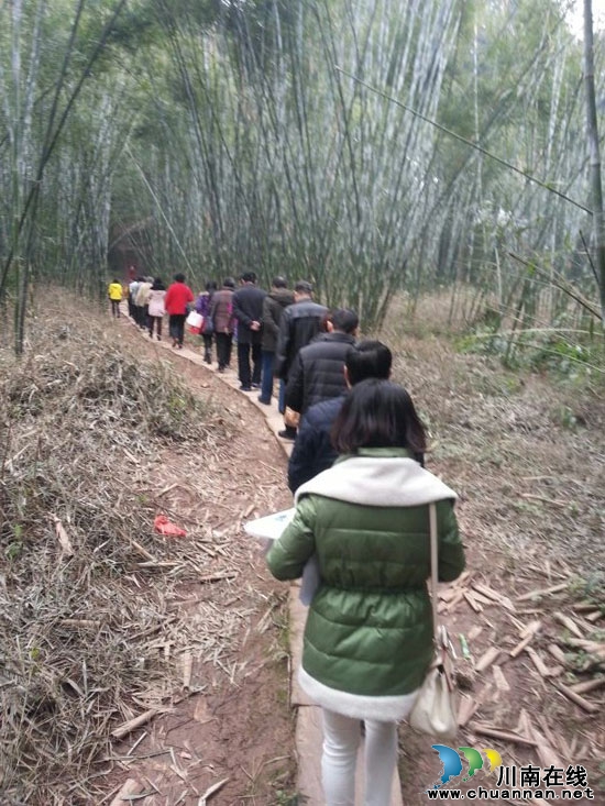 早春二月茶香千里&nbsp;名家齐赞秀美纳溪（图）(图9)