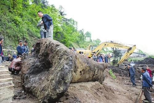 揭秘川南偷挖乌木"寻宝人"：一次投入几十万(图1)