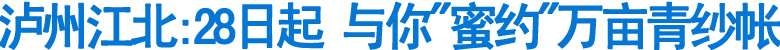 泸州江北:28日起&nbsp;与你"蜜约"万亩青纱帐(图1)