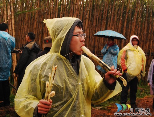泸州:春到江北 “甜蜜”甘蔗吃不停(图9) 泸州:春到江北 “甜蜜”甘蔗吃不停(图9)