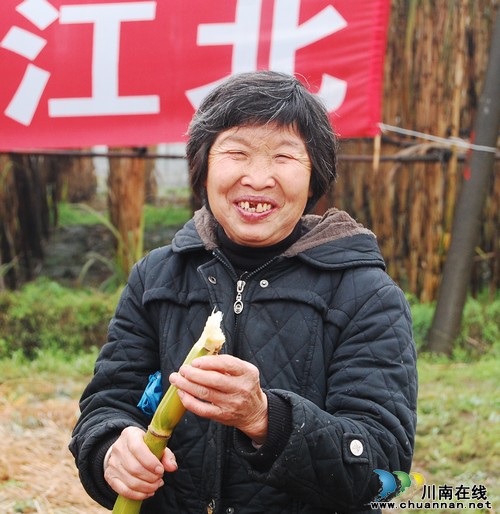 泸州:春到江北 “甜蜜”甘蔗吃不停(图10) 泸州:春到江北 “甜蜜”甘蔗吃不停(图10)