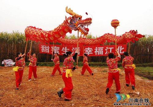泸州:春到江北 “甜蜜”甘蔗吃不停(图1) 泸州:春到江北 “甜蜜”甘蔗吃不停(图1)