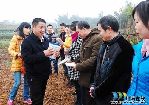 泸州:春到江北 “甜蜜”甘蔗吃不停(图11) 泸州:春到江北 “甜蜜”甘蔗吃不停(图11)