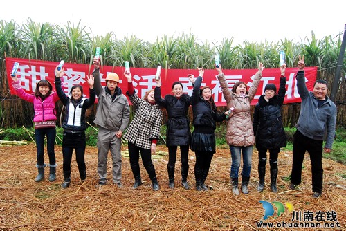 泸州:春到江北 “甜蜜”甘蔗吃不停(图12) 泸州:春到江北 “甜蜜”甘蔗吃不停(图12)