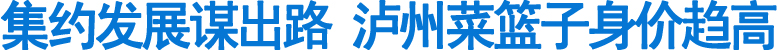 集约发展谋出路&nbsp;泸州菜篮子身价趋高(图1)