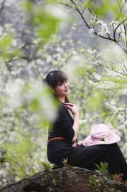 自贡尖山桃花节明日开幕(图1) 自贡尖山桃花节明日开幕(图1)