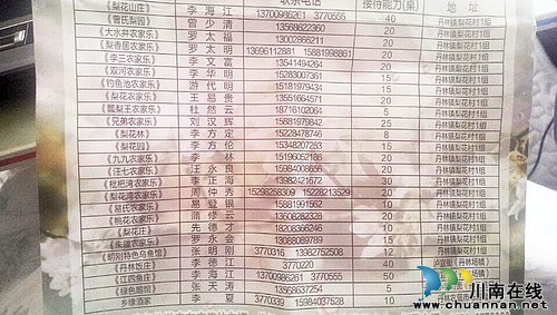 泸州丹林:春日暖意渐浓 只等梨花盛开(图)(图10) 泸州丹林:春日暖意渐浓 只等梨花盛开(图)(图10)