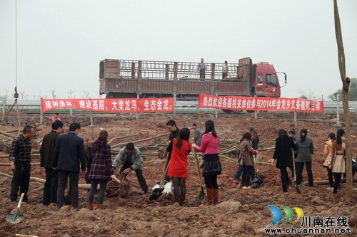 建设绿色家园,龙马国税在行动(图1) 建设绿色家园,龙马国税在行动(图1)