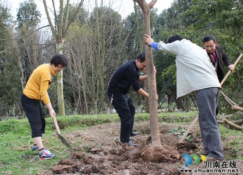 兆雅镇：花香兆雅再添绿(图1)