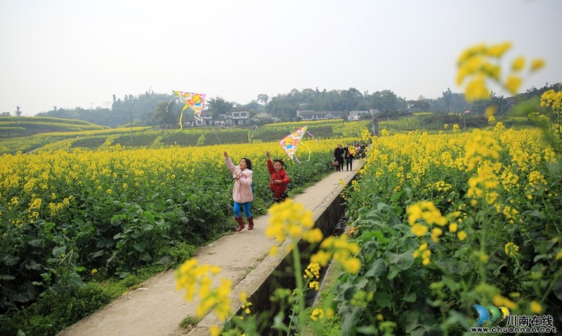 泸州:产村相融成风景&nbsp;阳春三月踏青乐(图2)