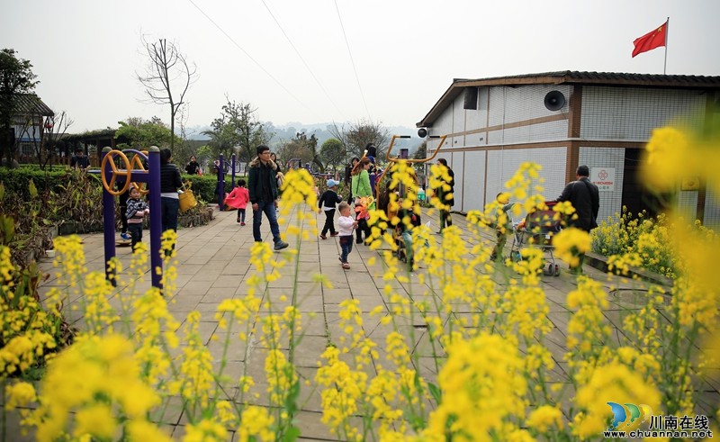 泸州:产村相融成风景&nbsp;阳春三月踏青乐(图7)