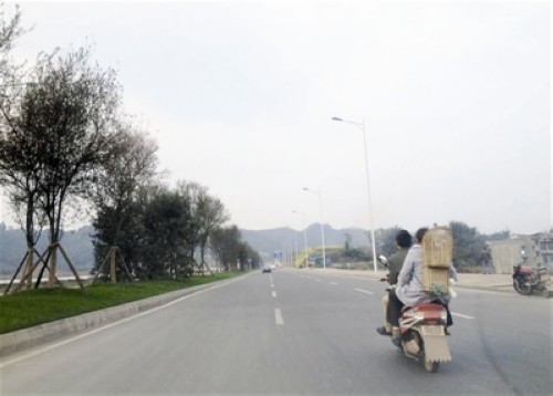 违规摩托成头号“马路杀手”(图1) 违规摩托成头号“马路杀手”(图1)