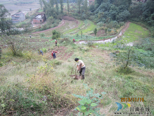江阳区2013年整村连片扶贫开发项目顺利完成(图1)