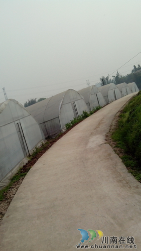 江阳区2013年整村连片扶贫开发项目顺利完成(图6)