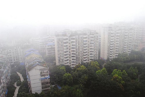 大雾难锁春光&nbsp;未来三天川南气温将逐渐回升(图1)