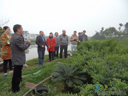 太伏镇：书记带领镇乡土专家为王湾生态农庄建设问诊把脉(图2)