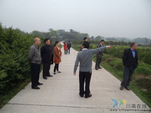 太伏镇：书记带领镇乡土专家为王湾生态农庄建设问诊把脉(图3)