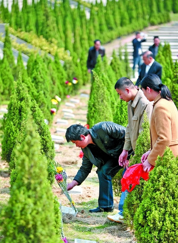 宜宾有望明年实行树葬(图1)