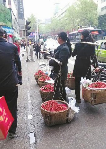 外地樱桃泸州上市&nbsp;45元一斤高价亮相！(图1)