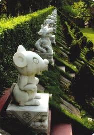 清明节&nbsp;寄哀思&nbsp;泸州天使墓园&nbsp;种下无数相思(图1)