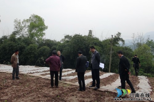 泸州市土地统征和整理中心走访合江县惠农项目区(图1)