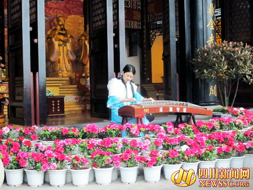 泸州低碳环保渐成主流&nbsp;清明文明祭奠已成风尚(图4)