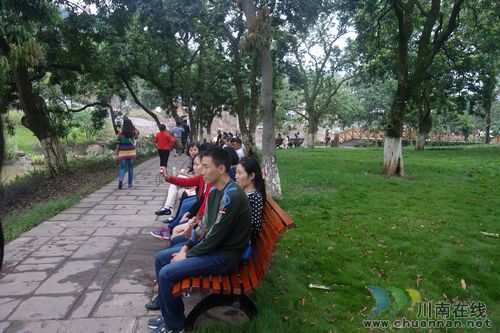 张坝：清明小长假桂圆林人气高&nbsp;涌入2万余人(图1)