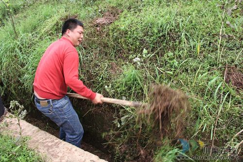 毗卢镇：沟渠清淤&nbsp;解百姓燃眉之急(图1)