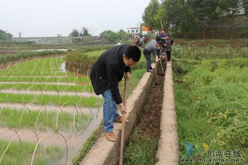 毗卢镇：沟渠清淤&nbsp;解百姓燃眉之急(图3)