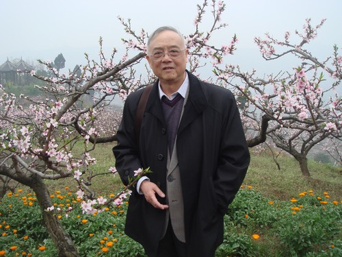 人物史学家陈世松&nbsp;说泸州神臂城和族谱文化(图1)