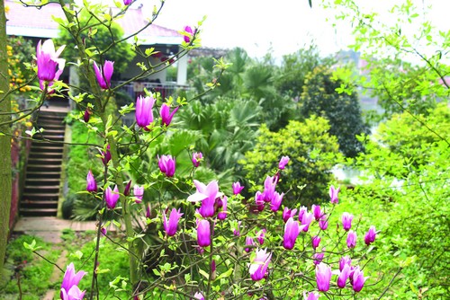 周末去凤凰湖&nbsp;度假休闲两不误(图2)