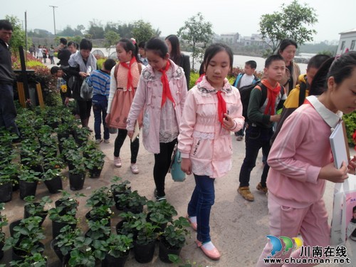 兆雅镇:“走进现代农业” 为学生搭建多元的成长舞台(图1) 兆雅镇:“走进现代农业” 为学生搭建多元的成长舞台(图1)