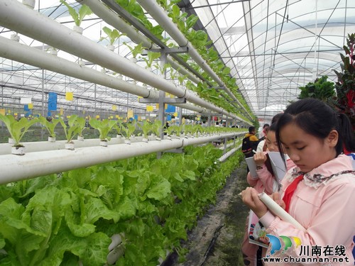 兆雅镇:“走进现代农业” 为学生搭建多元的成长舞台(图2) 兆雅镇:“走进现代农业” 为学生搭建多元的成长舞台(图2)