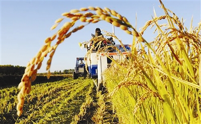 春耕系列报道之安全谁来保障?(图2) 春耕系列报道之安全谁来保障?(图2)