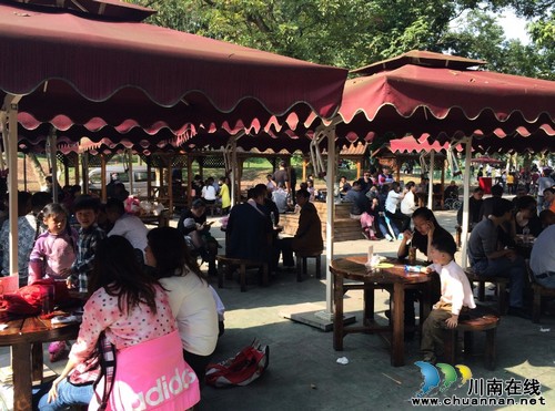 张坝桂圆林旅游风景区&nbsp;清明小长假引来旅游高峰(图2)