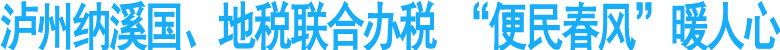 泸州纳溪国、地税联合办税&nbsp;"便民春风"暖人心