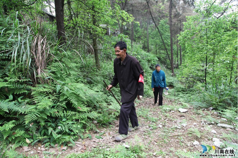 泸州:七旬老夫妻义务护林9年&nbsp;行走近1.9万公里(图2)