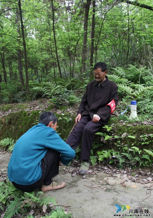 泸州:七旬老夫妻义务护林9年&nbsp;行走近1.9万公里(图4)