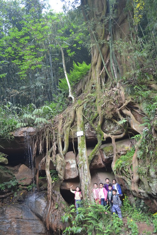 泸州纳溪打古镇:一个关于耗子精的传说(图)(图4) 泸州纳溪打古镇:一个关于耗子精的传说(图)(图4)