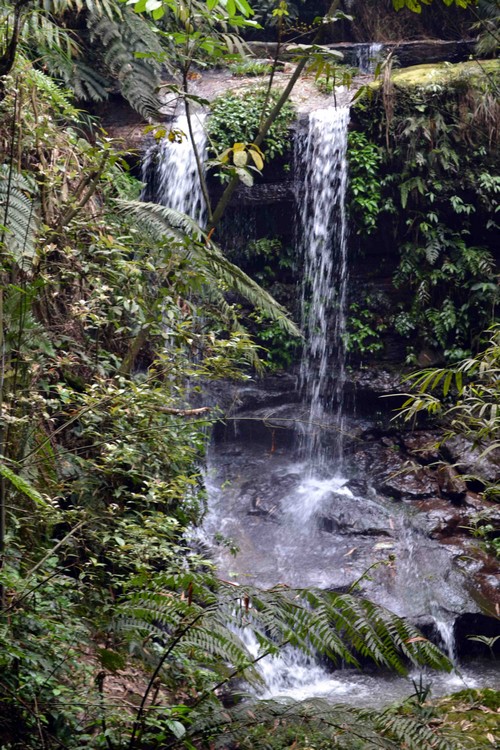 泸州纳溪打古镇:一个关于耗子精的传说(图)(图3) 泸州纳溪打古镇:一个关于耗子精的传说(图)(图3)