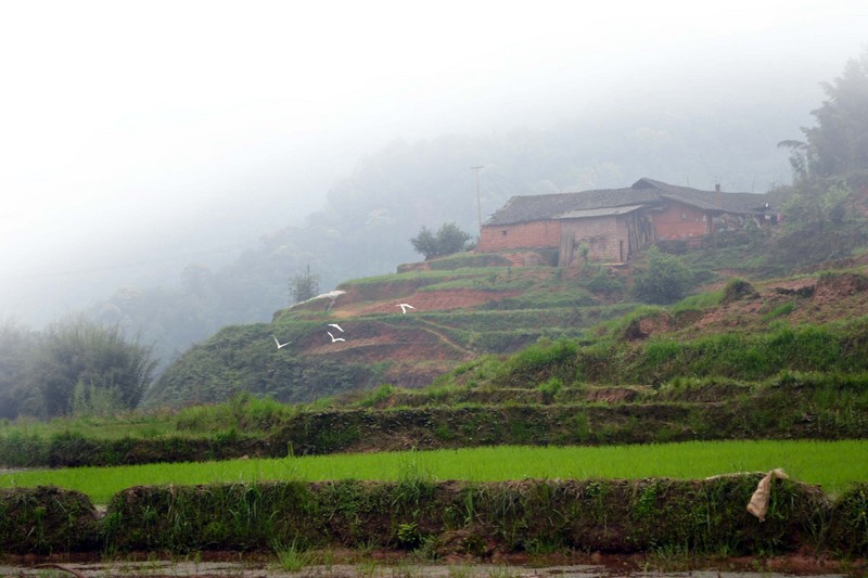 泸州纳溪打古镇:一个关于耗子精的传说(图)(图5) 泸州纳溪打古镇:一个关于耗子精的传说(图)(图5)