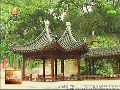 泸州忠山公园被命名为省级重点公园(图2)