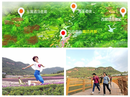 泸州:花田酒地幕后的故事——美景背后藏大作