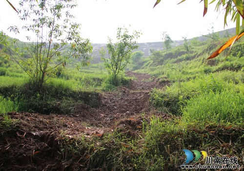 村民"点菜"&nbsp;宜宾县工业园区管委会1.4万元"买单"防洪(图1)